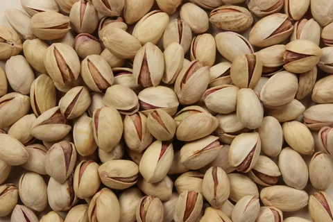 تصویر 3 از پسته فندقی شور درجه‌ یک با کیفیت ثابت